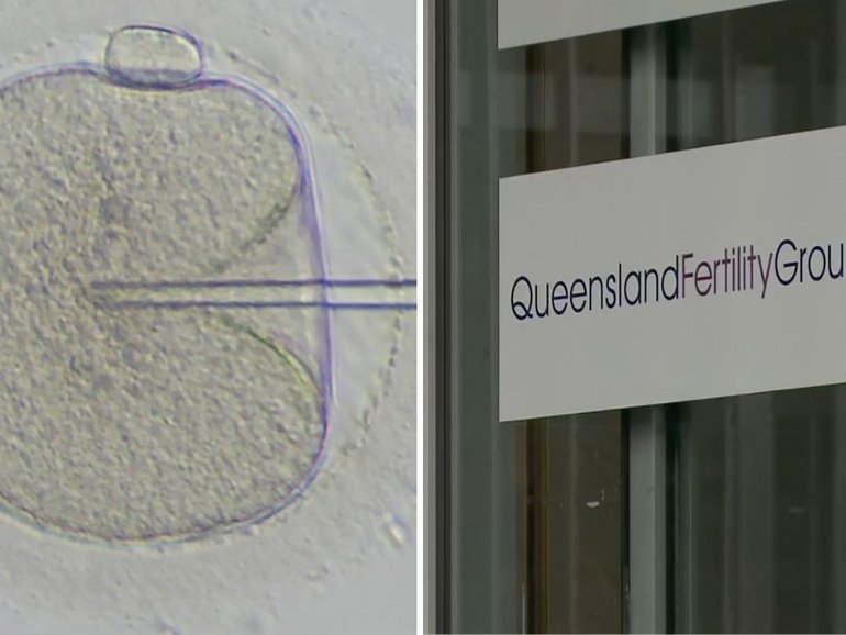Queensland Fertility Group has acknowledged a decade-old sperm donation mix-up under its former ownership, which led to a bi-racial child being born to a Caucasian couple.