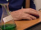 A convicted sex offender with terminal cancer has become the first inmate to use the voluntary assisted dying scheme in New South Wales.