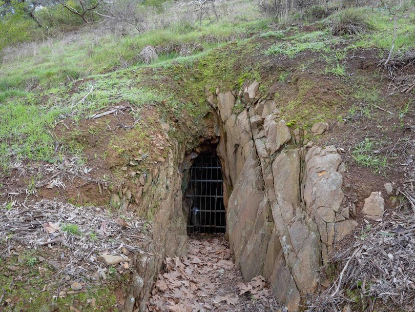 Theories about Dezi Freeman’s whereabouts include old mine shafts and caves in the Porepunkah area. Picture: NewsWire / Jason Edwards