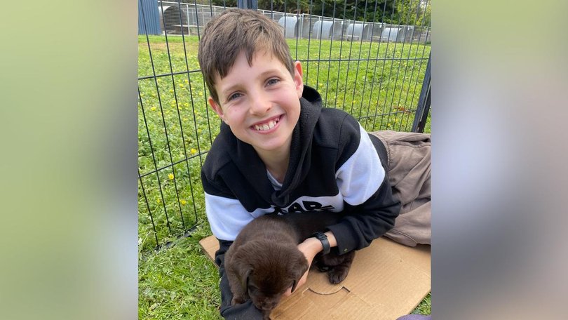 Jack Davey, 11, was critically injured and died on the way to hospital. (Supplied by Auburn South Primary School/AAP PHOTOS)
