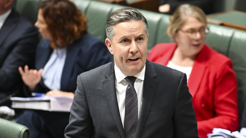 Disability and NDIS Minister Mark Butler confirmed the proposed 10-day trip to the UK and Sweden would not be going ahead. NewsWire/ Martin Ollman