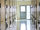 Daniel Hume, a convicted sex offender with terminal cancer, became the first inmate to use New South Wales’ voluntary assisted dying scheme after serving seven years of his 30-year sentence. 