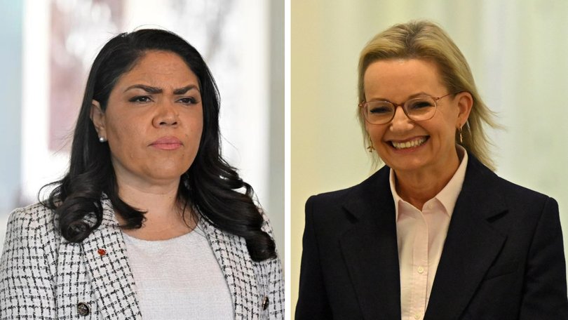 The Opposition has gone into damage control after a senator doubled down on claims Labor was taking in Indian migrants to shore up their supporter base.