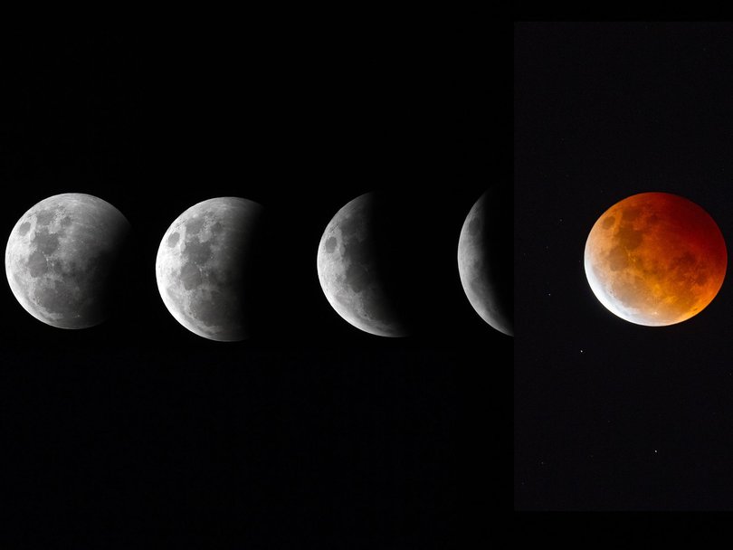 Residents across the entire country will be able to catch a glimpse, even in the city Picture: NewsWire / Dan Peled