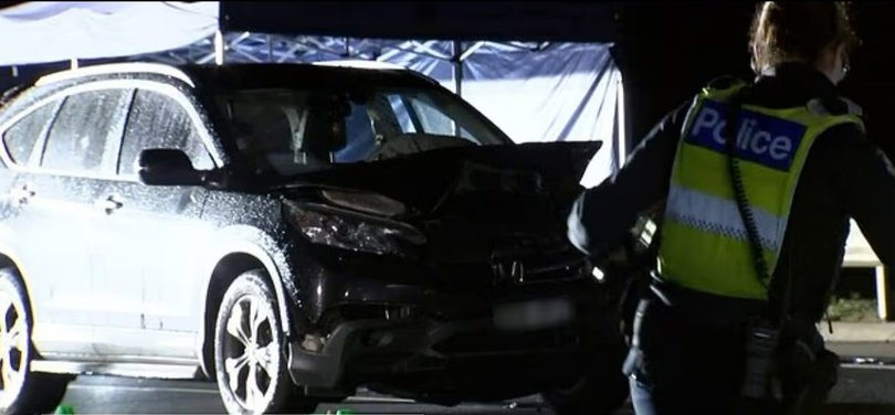 Two women hit by car after stopping for animal.
