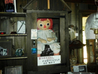 The ‘haunted’ Annabelle doll on display in the Warren Occult Museum in Connecticut.