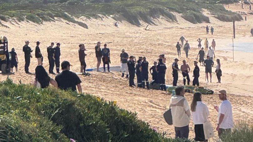 A man has died after being mauled by a shark at Dee Why. supplied