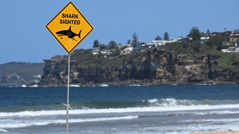 A fatal attack on Sydney's northern beaches prompted a pause in planned trial removal of shark nets.