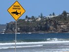 A fatal attack on Sydney's northern beaches prompted a pause in planned trial removal of shark nets. 