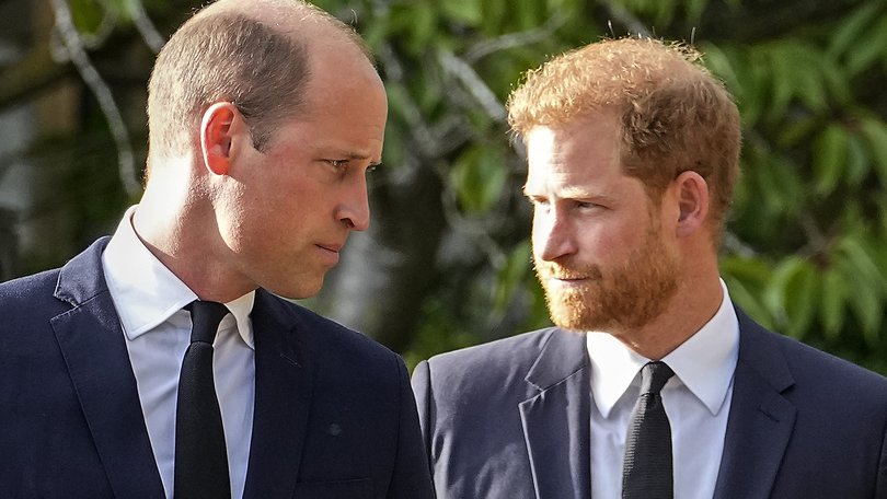Prince Harry has made a cryptic comment about sibling relationships amid his feud with Prince William.