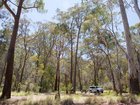 Coxs Creek Campground, Coolah Tops National Park
