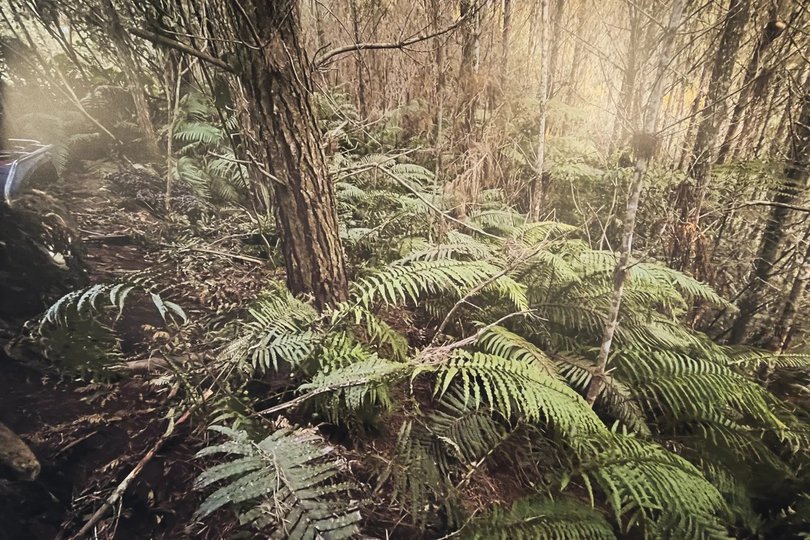 The bushland was incredibly dense and challenging to navigate, according to police.