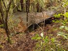 New photos have emerged of the 'grim' and 'dimly lit' main campsite used by fugitive Tom Phillips and his three children. Phillips was shot dead by police after he fired at an officer during a shootout after breaking into a store in Piopio on New Zealand's North Island in the early hours of Monday morning. He spent almost four years on the run with his three children in remote bushland. Unknown