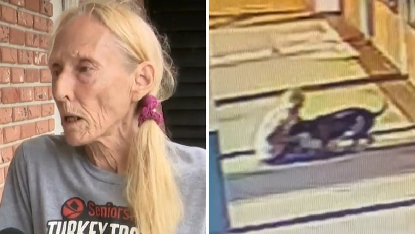 Woman risks life to save her dog.