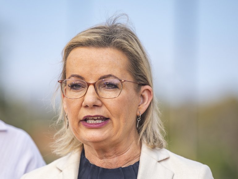 Ms Ley dumped Senator Price from the Opposition frontbench on Wednesday evening.