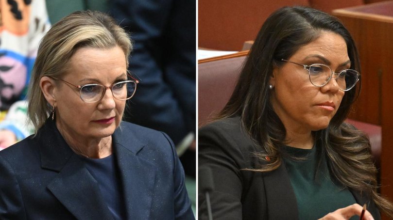 Sussan Ley is pondering who to bring into the shadow cabinet after dumping Jacinta Nampijinpa Price. 