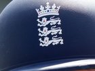 Police are investigating a former England cricketer over an alleged sexual assault incident.