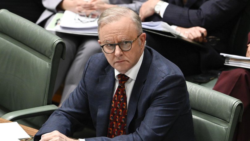 Mr Albanese says he will open a new office within his electorate.