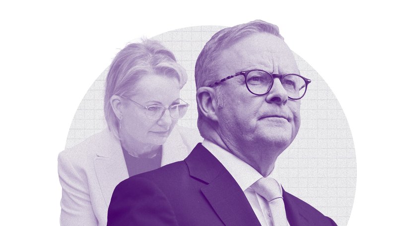 The Liberals could challenge the Albanese Government if they stopped stupid acts of self-harm.