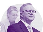 The Liberals could challenge the Albanese Government if they stopped stupid acts of self-harm.