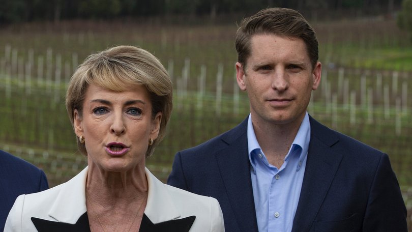 Michaelia Cash and Andrew Hastie.