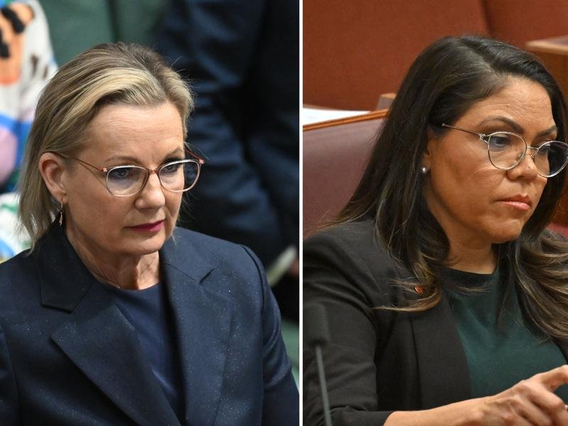 Sussan Ley and Jacinta Nampijinpa Price.