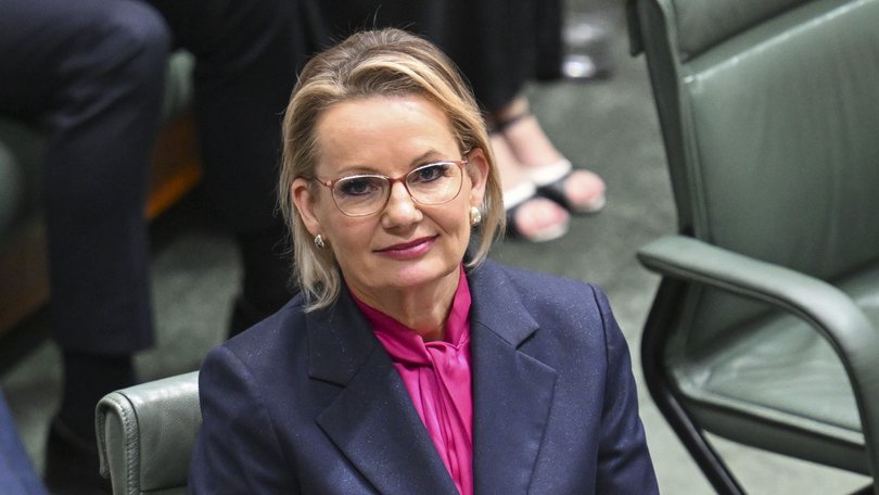 Leader of the Opposition Sussan Ley.