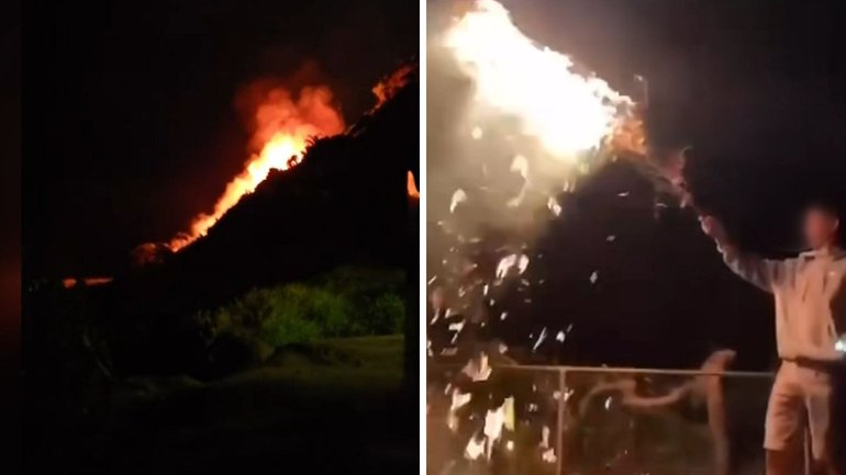 Video has emerged of a young male waving around a branch on fire at the park.