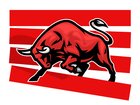 THE ECONOMIST: Investor optimism continues on Wall St, despite slower growth, Donald Trump’s tariffs and mounting political turmoil in the US. 