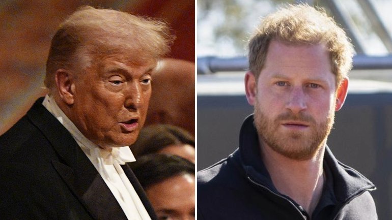 Donald Trump has taken a royal swipe at Prince Harry during his speech at an opulent state banquet.