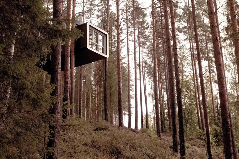 Hidden in the treetops, the 'treerooms' allow visitors to immerse themselves in the forest soundscape.