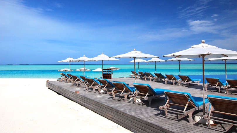 Why are more tropical resorts giving up the Instagram-perfect white sand for wild seagrass and mangroves?
