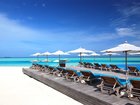 Why are more tropical resorts giving up the Instagram-perfect white sand for wild seagrass and mangroves?