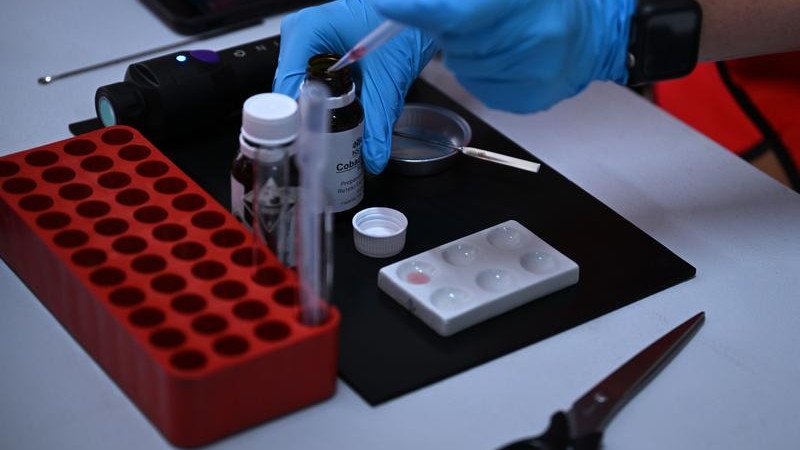 Queensland removed pill testing overnight, and experts warn of the horrible outcomes of this move.