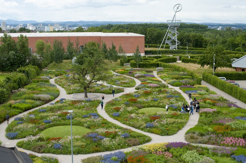 A view of the outdoor area.