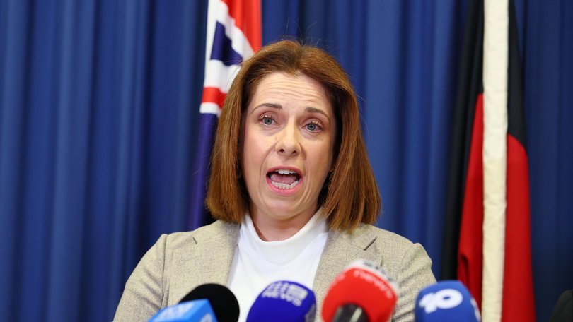 Communications minister Anika Wells said the outage “failed the Australian people”.