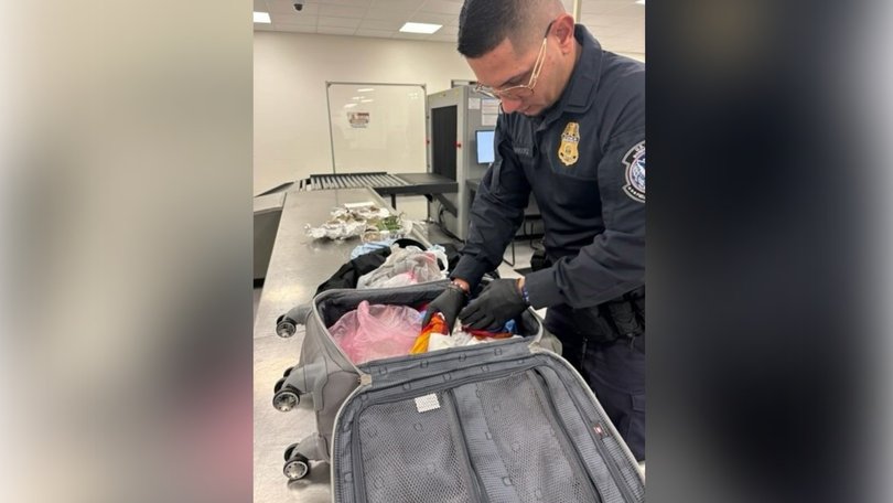 A routine bag check at Tampa International quickly escalated when customs officers found a disturbing collection hidden inside a traveler’s luggage.
