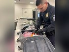 A routine bag check at Tampa International quickly escalated when customs officers found a disturbing collection hidden inside a traveler’s luggage.