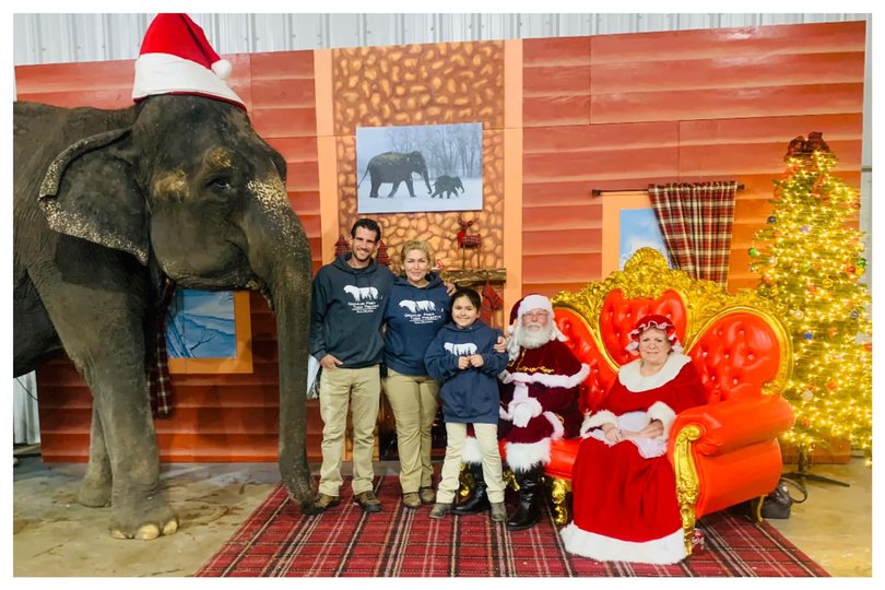 An Easley family Christmas picture.