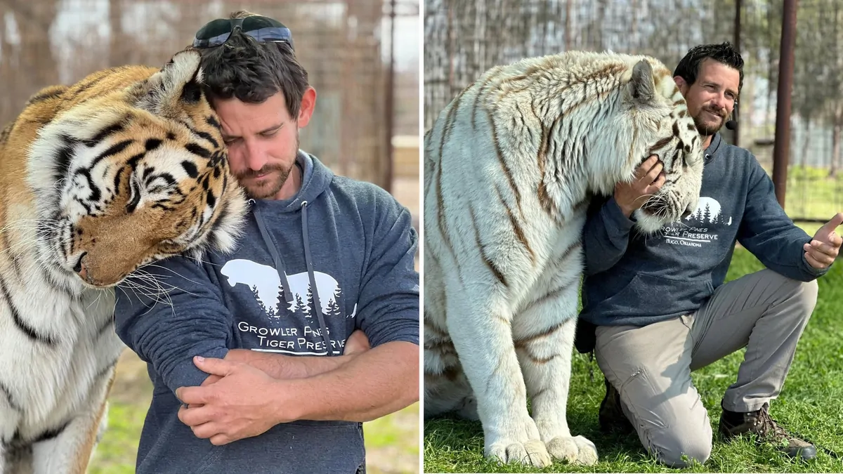 Ryan Easley: Animal handler linked to 'Tiger King' Joe Exotic mauled to  death in Growler Pines Tiger Preserve | The Nightly