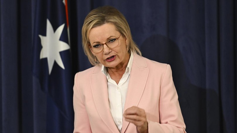 Opposition Leader Sussan Ley. NewsWire / Martin Ollman