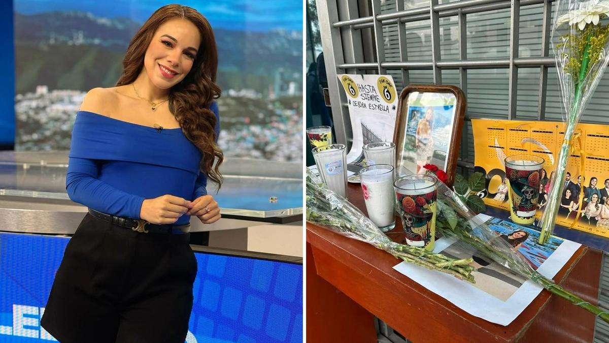 Mexican news anchor Debora Estrella dies in horror plane crash while  training to fly | The Nightly