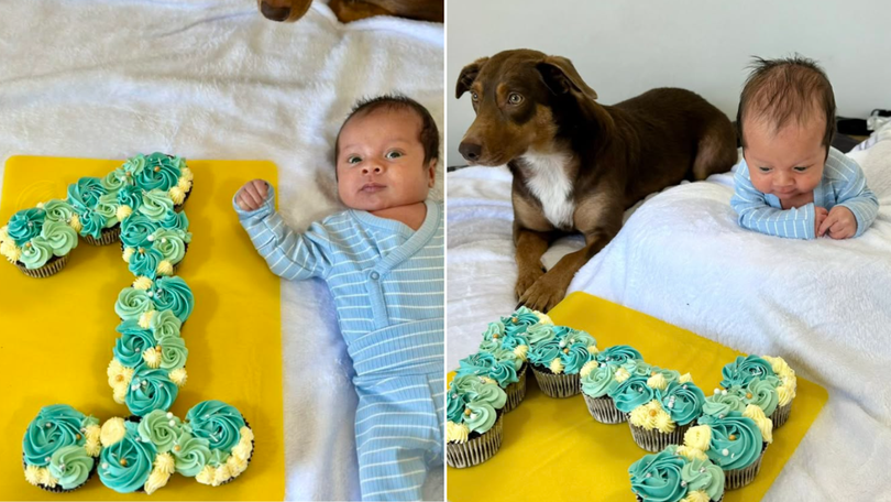 Jack was rushed to the Gold Coast University Hospital but could not be saved.