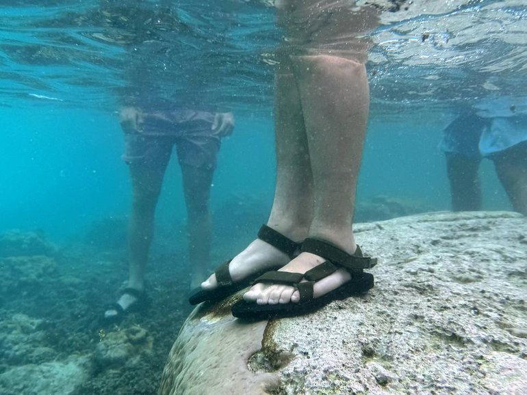 Pacific nations are eager for Australia to host the COP31 climate meeting, slated for November 2026. 