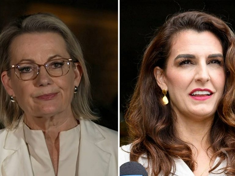 Sussan Ley supporter Gisele Kapterian has accepted she lost the seat of Bradfield.
