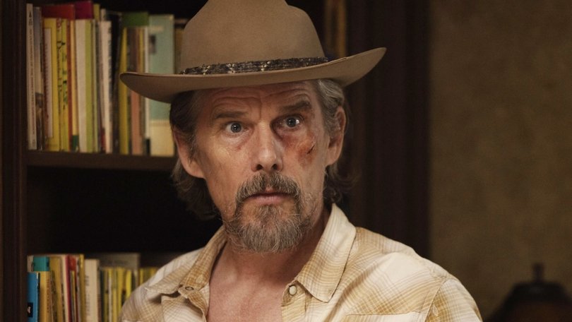 Ethan Hawke in The Lowdown.