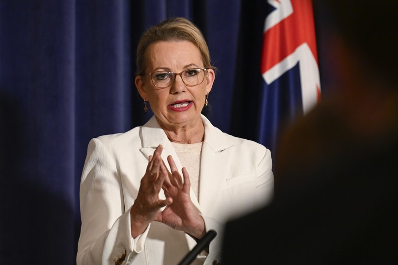 Opposition Leader Sussan Ley says Anthony Albanese’s ‘relationship’ with Donald Trump is to blame for the latest tariffs.