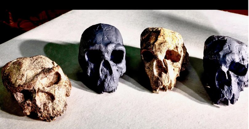 GEN Yunxian 2 and another skull, Yunxian 1, were unearthed from the Hanjiang River in the Yunyang district of Shiyan City, China.