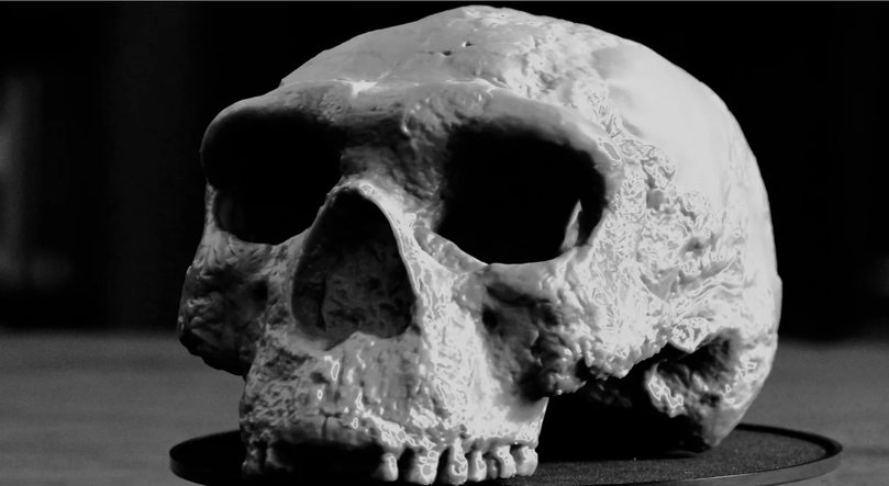 GEN Yunxian 2 and another skull, Yunxian 1, were unearthed from the Hanjiang River in the Yunyang district of Shiyan City, China.
