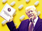 The Trump Administration has brought forward its 100 per cent tariffs on pharmaceutical products.